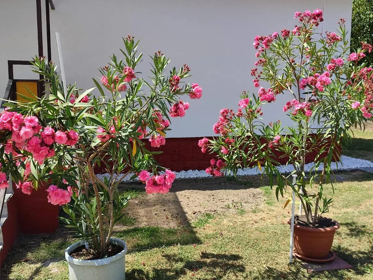 Guest house Rakos-Patak Family House Hotel Budapest Hungary