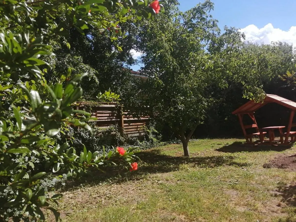 Hotel Rakos-Patak Family House Budapešť